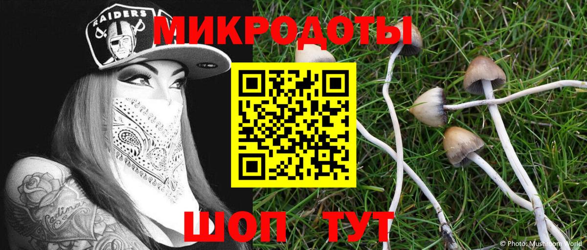 Грозный  Галлюциногенные грибы MAGIC MUSHROOMS  хочу наркоту  Вход с VPN 
