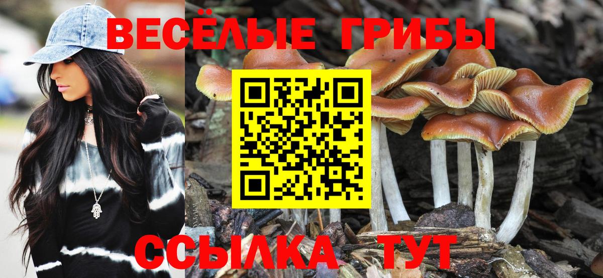 Галлюциногенные грибы мухоморы Грозный